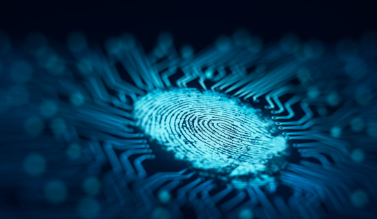 Pluribus Books $135M USCIS Biometric Data Management Support Work